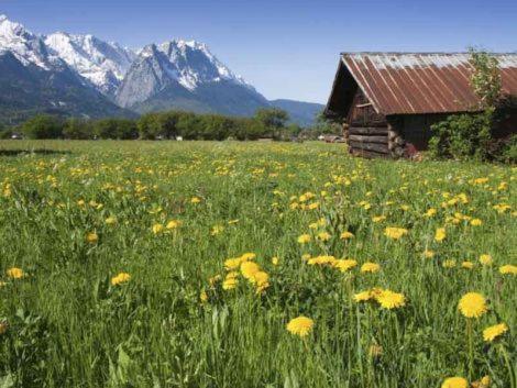 Alpenkette Leilighet Garmisch-Partenkirchen Eksteriør bilde